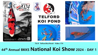 TKP Telford Koi Pond  Video 174 – 44th Annual BKKS National Koi Show 2024 – DAY 1 koi [upl. by Odlopoel]