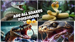 Are all Snakes Poisonous 😧What Snakes are not How to Identify them [upl. by Euqinaj]