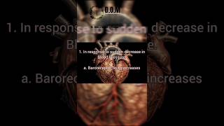 1 minute MCQ of Cardiovascular physiology Baroreceptors [upl. by Naasah]