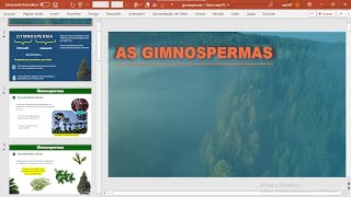 Slides Gimnospermas Aula completa em PPTX [upl. by Teddman280]