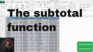 How to use the subtotal function in Excel [upl. by Celeski]