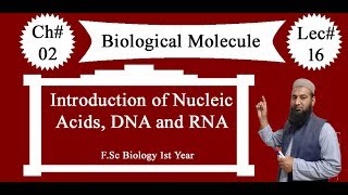 Biology Ch02Lecture16 Introduction of nucleic acid FSc 1st Year [upl. by Llenol]