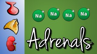 Adrenal Insufficiency Hyponatraemia [upl. by Atikkin]