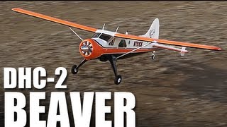 Flite Test  Flyzone DHC2 Beaver  REVIEW [upl. by Perseus]