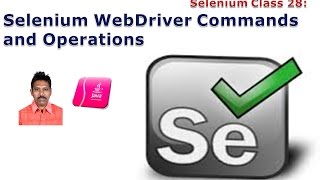 Selenium 28 Selenium WebDriver Commands [upl. by Nuahsad]