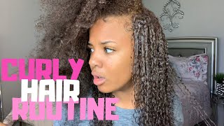 Curly Hair Routine VERY DETAILED 💗 [upl. by Ojahtnamas]