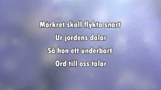 Sankta Lucia Natten går tunga fjät karaoke  lyrics [upl. by Yeltsew]