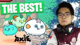 The ULTIMATE Axie Infinity Team for BEGINNERS INSANE DAMAGE [upl. by Yzdnil]