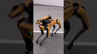 Boston dynamics robot dog at CES 2024 [upl. by Lehet524]