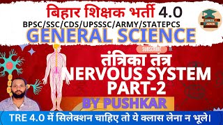 Biology  Human Brain मानव मस्तिष्क in Hindi  Central amp Peripheral Nervous System part 2 [upl. by Naletak]