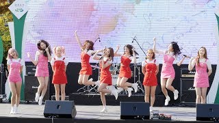 4K 171105 모모랜드 MOMOLAND  어마어마해 EDM Ver 오산 청소년 축제 전체 직캠Fancam by PIERCE [upl. by Akena]