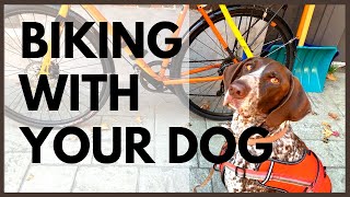 Tips for Biking With Your HIGH Energy Dog [upl. by Ariahaj363]