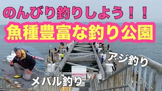 【とっとパーク小島】のんびりアジ釣り、メバル釣りで釣り公園を満喫な1日‼️ [upl. by Zanze]