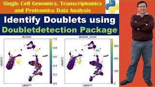 Identify Doublets using Doubletdetection Package in Python [upl. by Ruthie683]