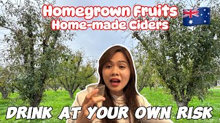 Mornington Peninsula P 1 Where to get the BEST organic cider [upl. by Eberta]