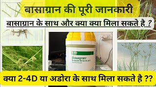 धान में होने वाले सभी प्रकार के मोथा प्रज़ाति के खरपतवार के लिए बेस्ट खरपतवारनाशक Basagran 24D [upl. by Torey911]