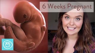 6 Weeks Pregnant What You Need To Know  Channel Mum [upl. by Lerej794]