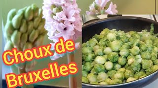 recetterecette de choux de Bruxelles facilerapidechoux [upl. by Annairda620]