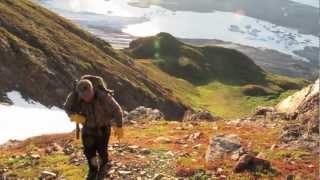 Bobby Hall 40 inch Sheep Hunt Alaska [upl. by Nereids]