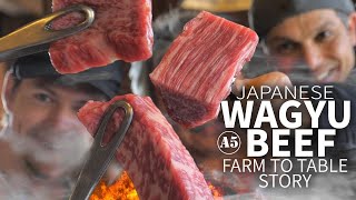 Japanese Wagyu Beef Story from Farm to Table ★ ONLY in JAPAN [upl. by Travers]