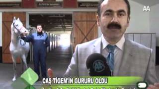 Caş TİGEMin gururu oldu [upl. by Schrader]