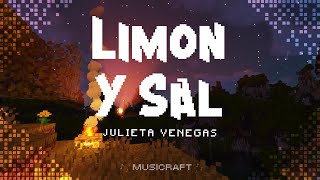 Julieta Venegas  Limon Y Sal LetraLyrics [upl. by Aneet]