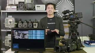 Tech Tips LMD Monitors Side by Side  Episode 2 [upl. by Deb]