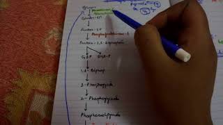 GLUCONEOGENESIS complete EASIEST explanation part 1 [upl. by Florette760]