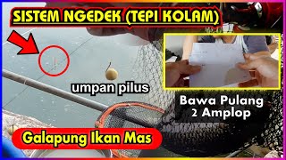 MANCING BABON IKAN MAS GALAPUNG SISTEM NGEDEK MEMANG TERBUKTI AMPUH  GALAPUNG IKAN MAS [upl. by Yrak475]