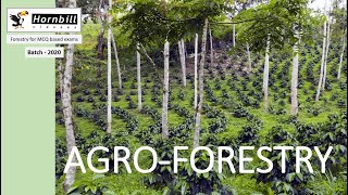 31 RPSCACF 2020  Agroforestry System 1 [upl. by Shuping]