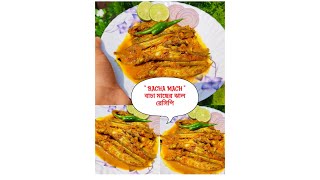 বাচা মাছের ঝালbacha mach ar jhalFish RecipeBACHA MACHমাছের ঝালBengali style Easy recipe [upl. by Glynis858]