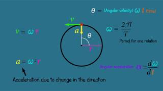 Circular motion  Physics functions [upl. by Idalia]