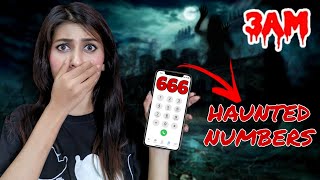 Calling HAUNTED Numbers at 3 am 😱 You Should NEVER Call  Little Miss Shree [upl. by Noned385]