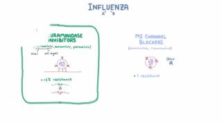 Influenza Treatment  Medications and Criteria for Treatment [upl. by Nahtanohj]