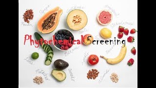 Phytochemical Screening [upl. by Aguie]