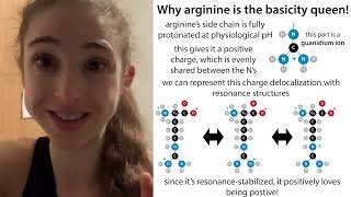 “Basic amino acids”  protonation of His Lys amp Arg and why arginine is the most basic [upl. by Anomis]