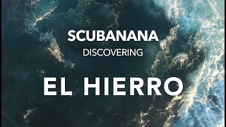 Diving on Canary Islands El Hierro with Scubanana 4K [upl. by Cherish]