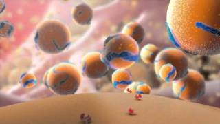 Amazing cholesterol animation from Cosmocyte [upl. by Mihalco]