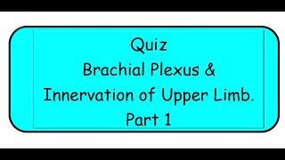 Brachial Plexus amp Upper Limb Nerves Quiz [upl. by Mastic727]