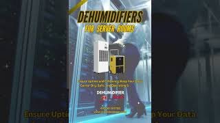 Portable Dehumidifier for Server Rooms Humidity Control [upl. by Ebaj]