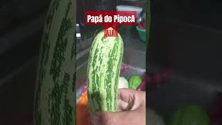 Papá do PipocA [upl. by Hsemar140]