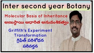 Griffiths Experiment  Transformation  గ్రిఫిత్ పరిశోధన  పరివర్తన [upl. by Price813]