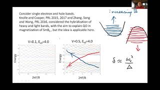 Quantum oscillations in the resistivity of an excitonic insulator [upl. by Enaitsirhc]