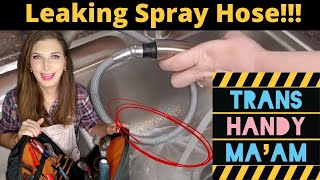 Kitchen Sink Pullout Spray Hose Replacement [upl. by Kilbride596]