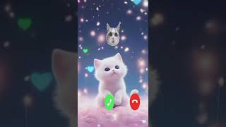 Cat calling video 🥰 cat funny ringtone bigcat [upl. by Ahsuas]