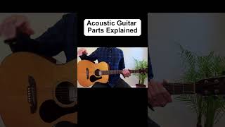 Acoustic Guitar Parts Explainer shorts [upl. by Drandell964]