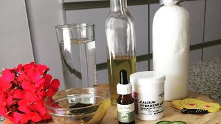 HACER CONSERVANTE DE COSMÉTICOS EN CASA ES FÁCIL💚 [upl. by Ordisy]