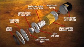 Look Inside GoldNAPAFilter™ [upl. by Joann]