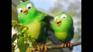 Samantha Jade  quotCheap Cheapquot song  Woolworths Ad [upl. by Nuy]