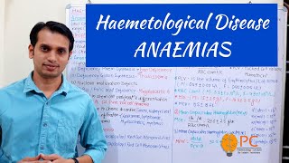 Haematological Diseases Anaemia Pathophysiology [upl. by Oiramrej454]